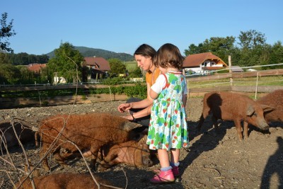 Adamhof – Familie Aichwalder Adamhof – Familie Aichwalder