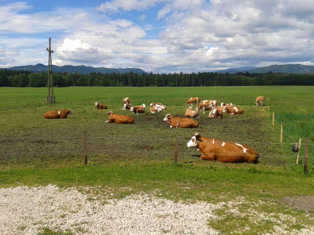 Familie Deutschmann - Gaumenfest.at - Entdecke den puren Geschmack!