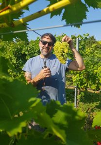 Winzer Tony Allen bei der Weinlese